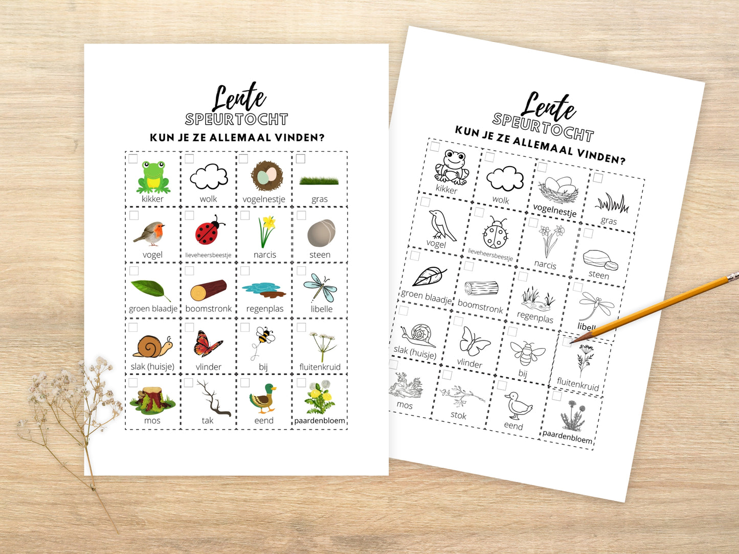 Lente Speurtocht voor Kinderen, gezellige gezinsactiviteit voor buiten, 5 Printbare Opties, Kleur & Zwart/Wit