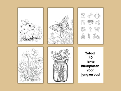 40 Lente kleurplaten voor jong en oud. Kleurplaten met thema lente met bloemen, schattige dieren en natuur