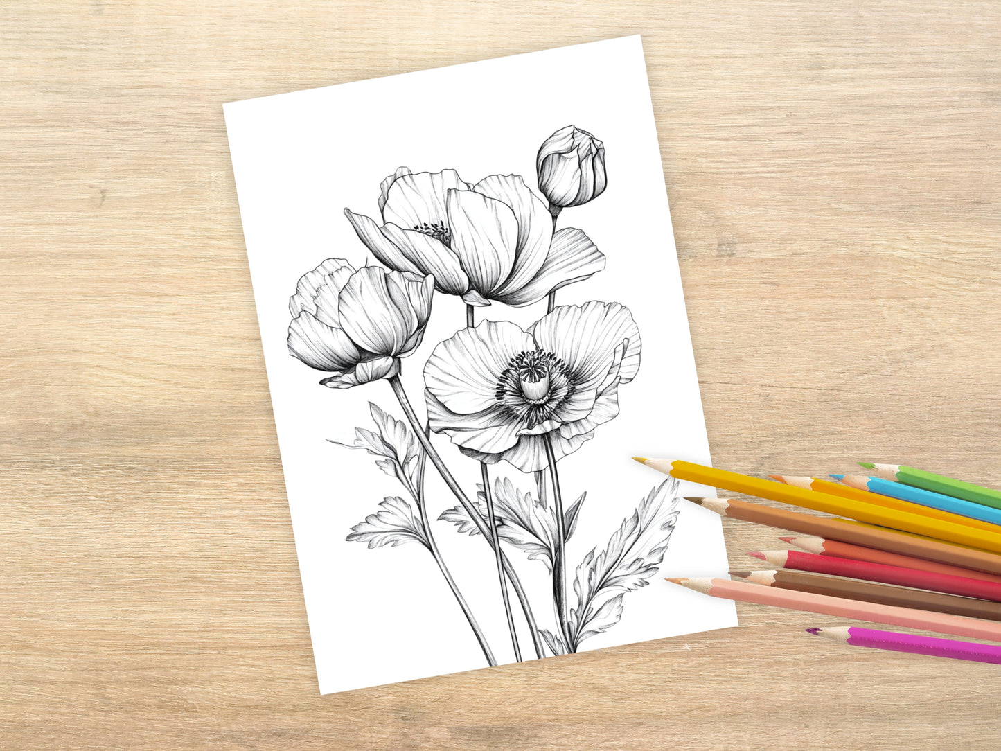 20 Printbare Bloemen Kleurplaten voor Jong en Oud | Prachtige Bloemen in A4 & A3 Formaat - Directe PDF Download